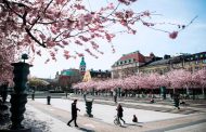 Mùa xuân 2020 giữ vị trí đặc biệt trong tim đối với sinh viên Việt Nam tại Thụy Điển